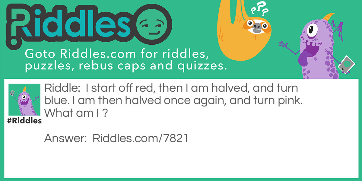 Australian Riddles Riddle Meme.