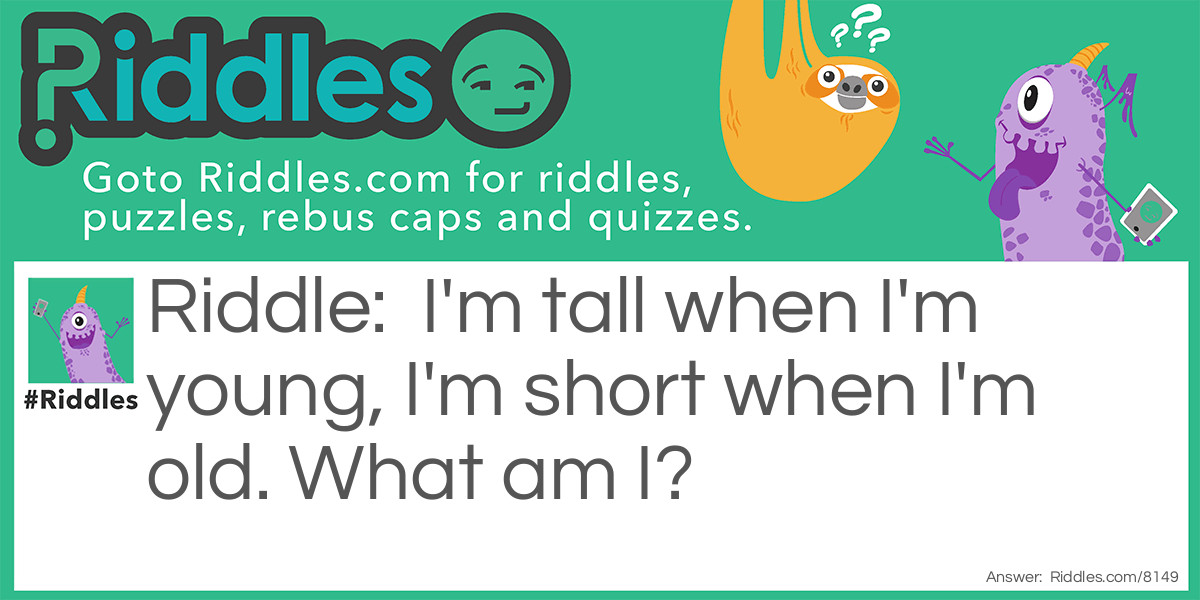 I'm tall when I'm young, I'm short when I'm old. What am I?