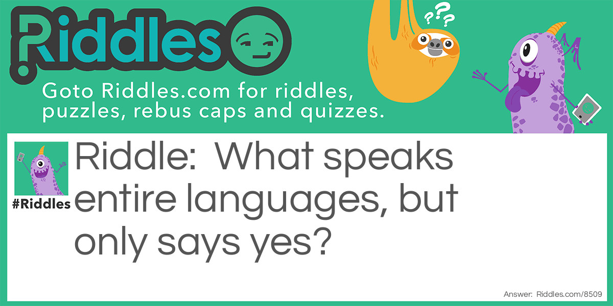 What speaks entire languages, but only says yes?