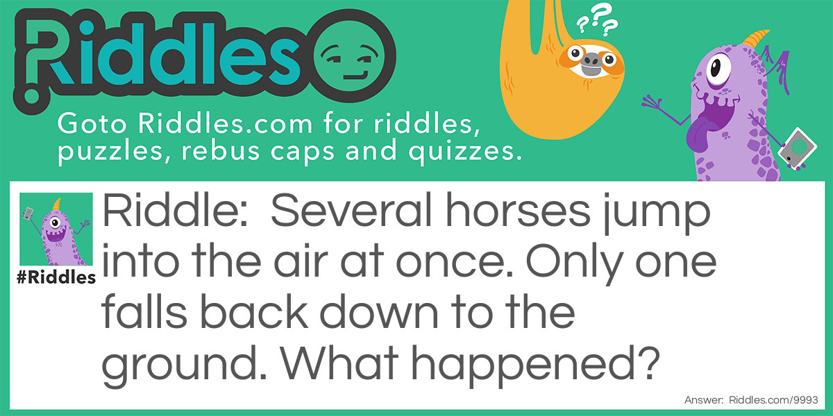 Hoarse horse Riddle Meme.