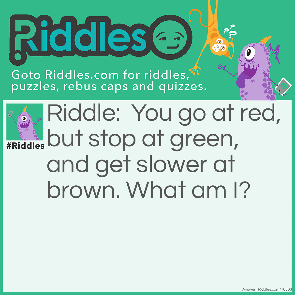 Riddle: You go at red, but stop at green, and get slower at brown. What am I? Answer: Watermelon! The green is the cover, you don't eat it. Then red is the yummy and juicy part which you eat and you eat slowly at the brown seeds!