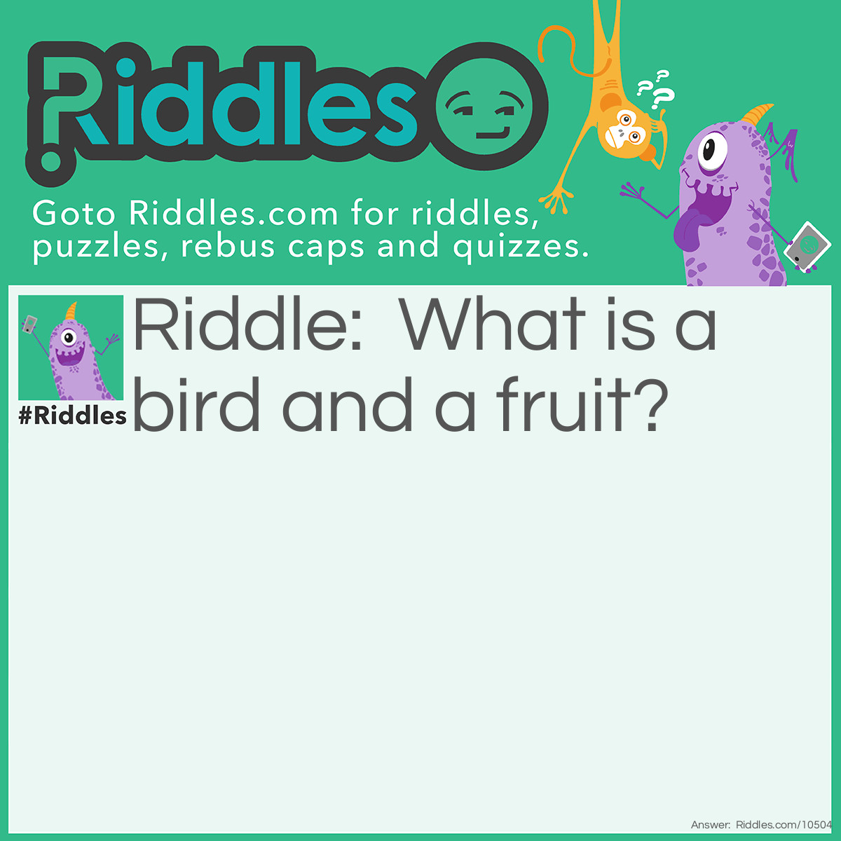 Riddle: What is a bird and a fruit? Answer: Kiwi.