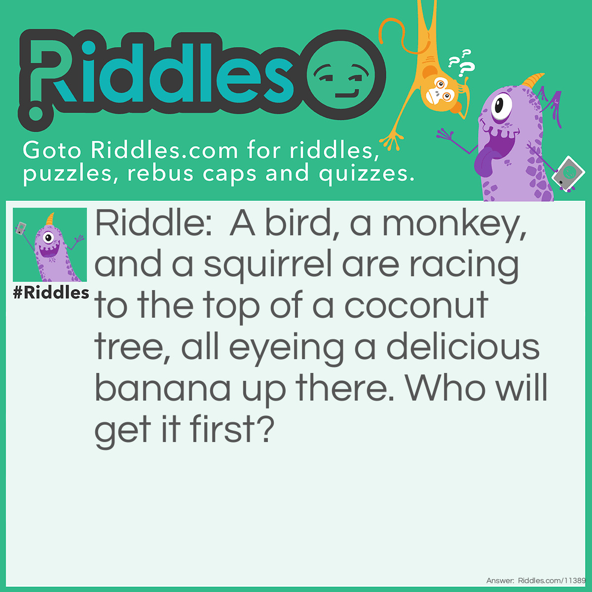 Riddle: A bird, a monkey, and a squirrel are racing to the top of a coconut tree, all eyeing a delicious banana up there. Who will get it first? Answer: None of them, because there is no banana; bananas don't grow on coconut trees!