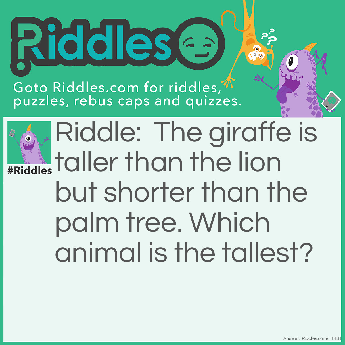 Riddle: The giraffe is taller than the lion but shorter than the palm tree. Which animal is the tallest? Answer: The giraffe is the tallest animal. A palm tree is not an animal, duh!