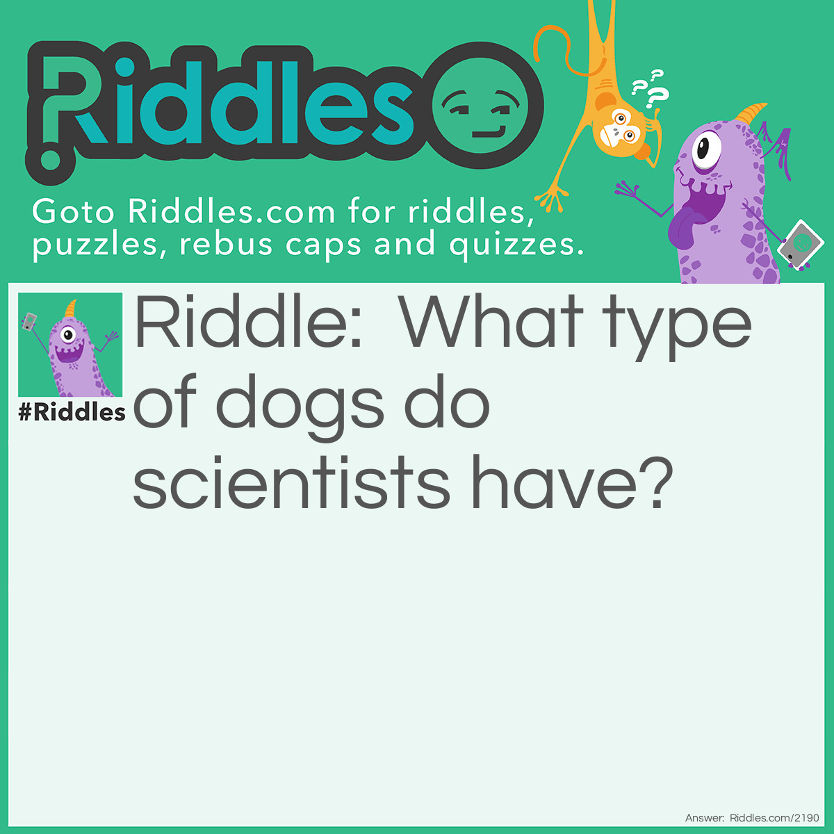 Riddle: What type of dogs do scientists have? Answer: Lab-oratory retrievers.