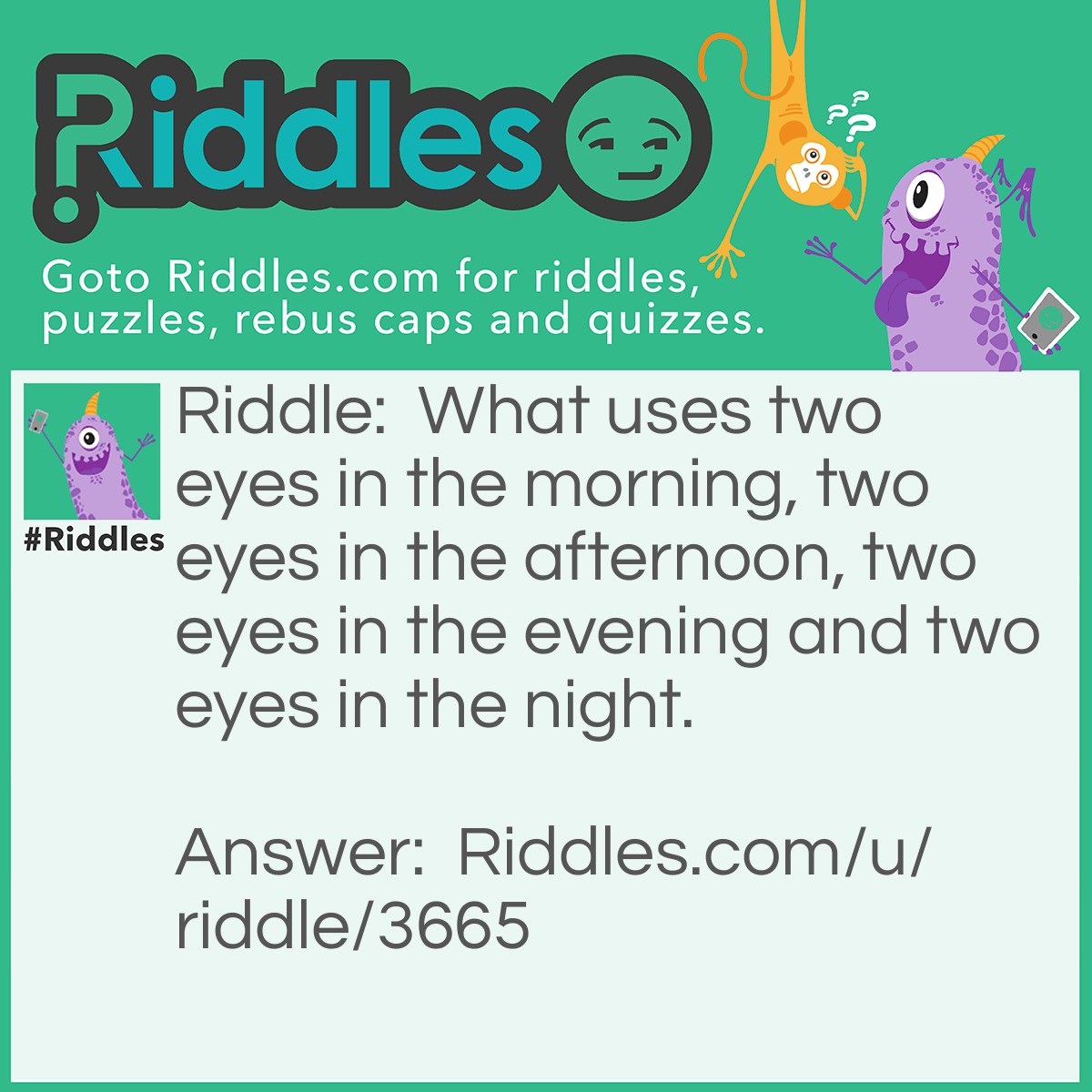 Riddle: What uses two eyes in the morning, two eyes in the afternoon, two eyes in the evening and two eyes in the night. Answer: A spider.