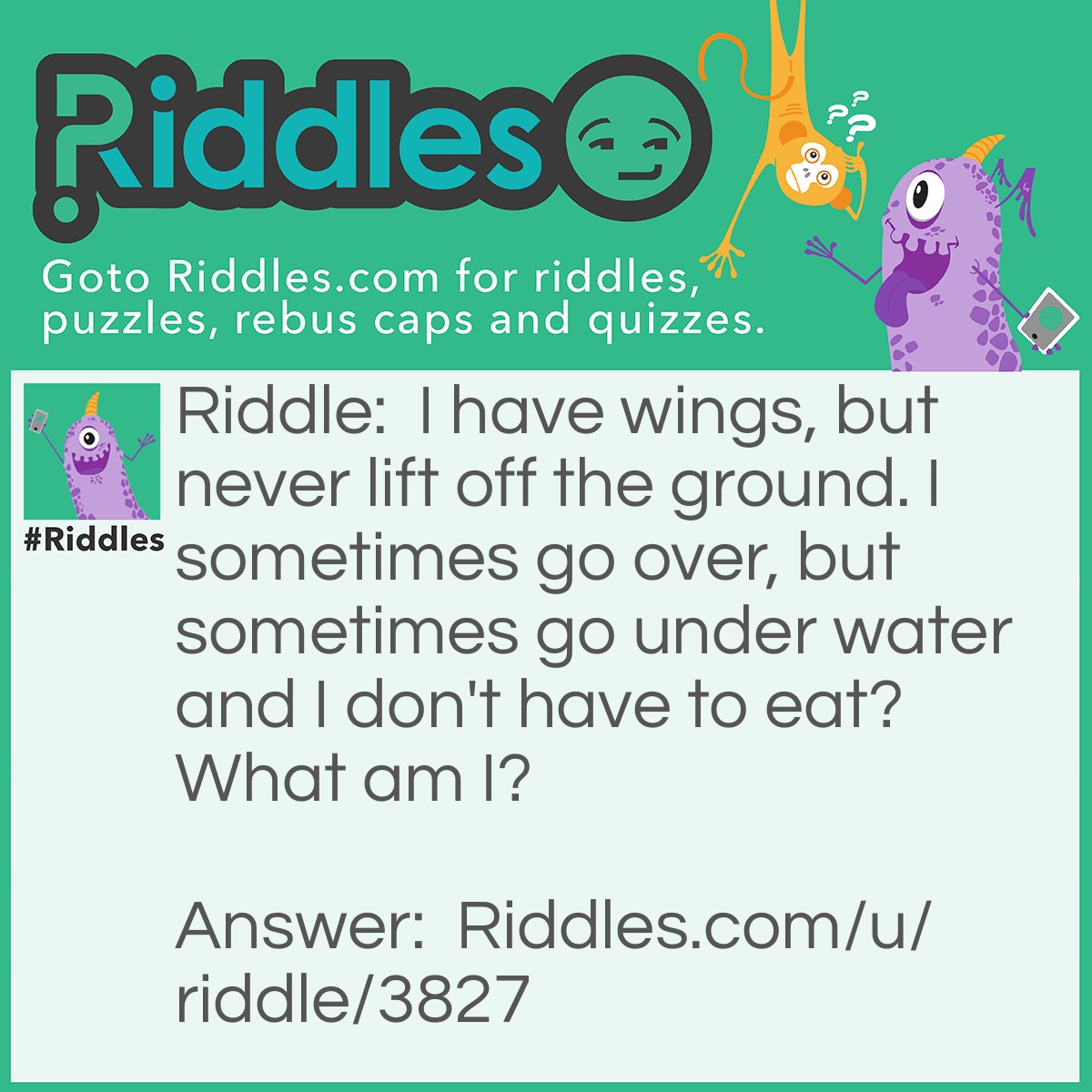 Riddle: I have wings, but never lift off the ground. I sometimes go over, but sometimes go under water and I don't have to eat? What am I? Answer: A bird's shadow.