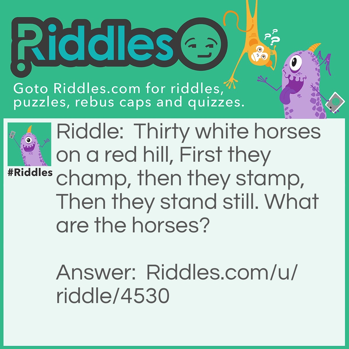 Riddle: Thirty white horses on a red hill, First they champ, then they stamp, Then they stand still. What are the horses? Answer: Teeth.