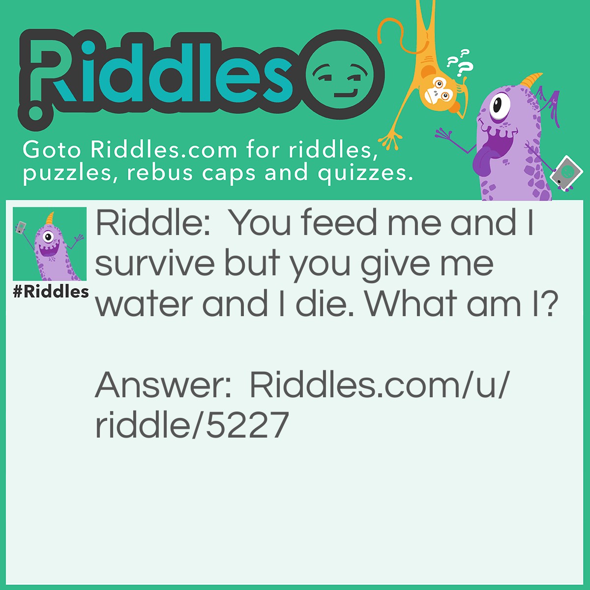 Riddle: You feed me and I survive but you give me water and I die. What am I? Answer: Fire.