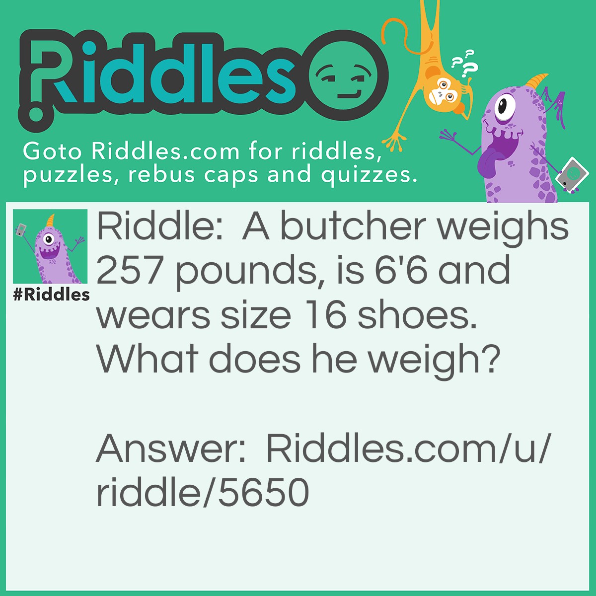 Riddle: A butcher weighs 257 pounds, is 6'6 and wears size 16 shoes. What does he weigh? Answer: Meat!