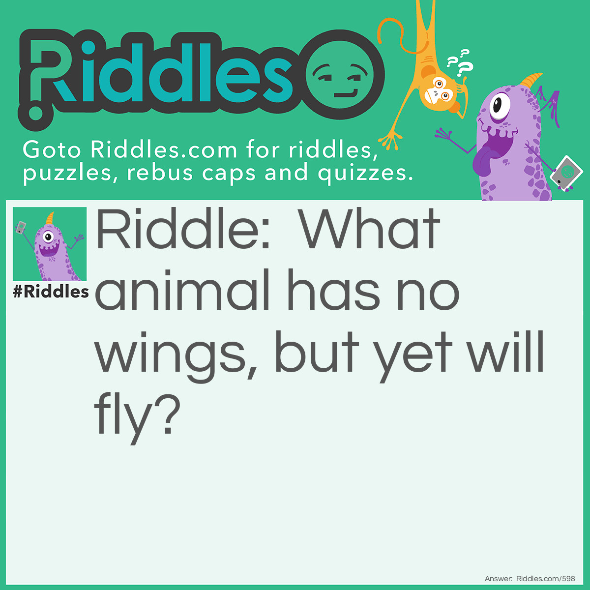 What Animal Has No Wings But Will Fly Riddle And Answer Riddles