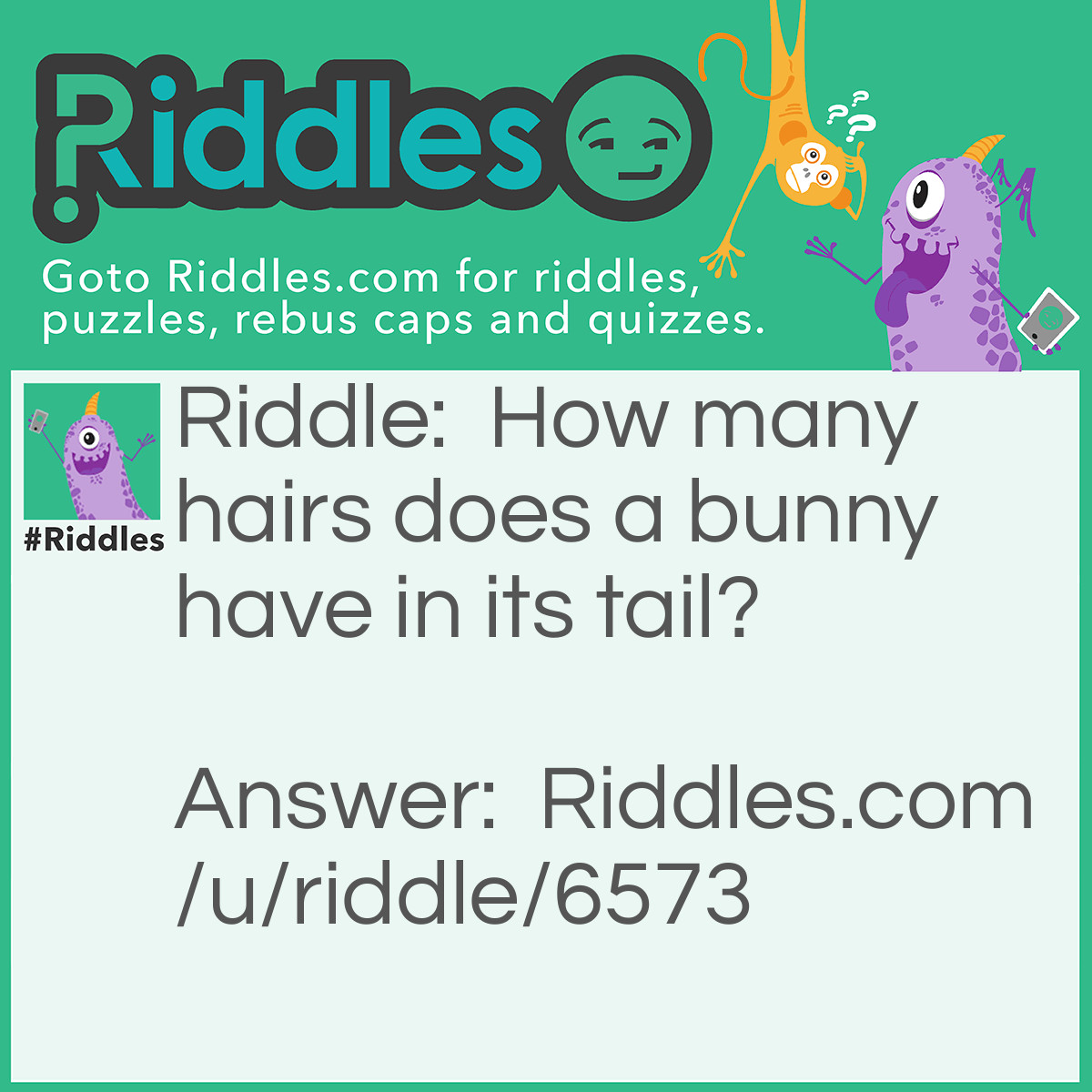 Riddle: How many hairs does a bunny have in its tail? Answer: Absolutely none! A bunny has no hairs IN its tail!