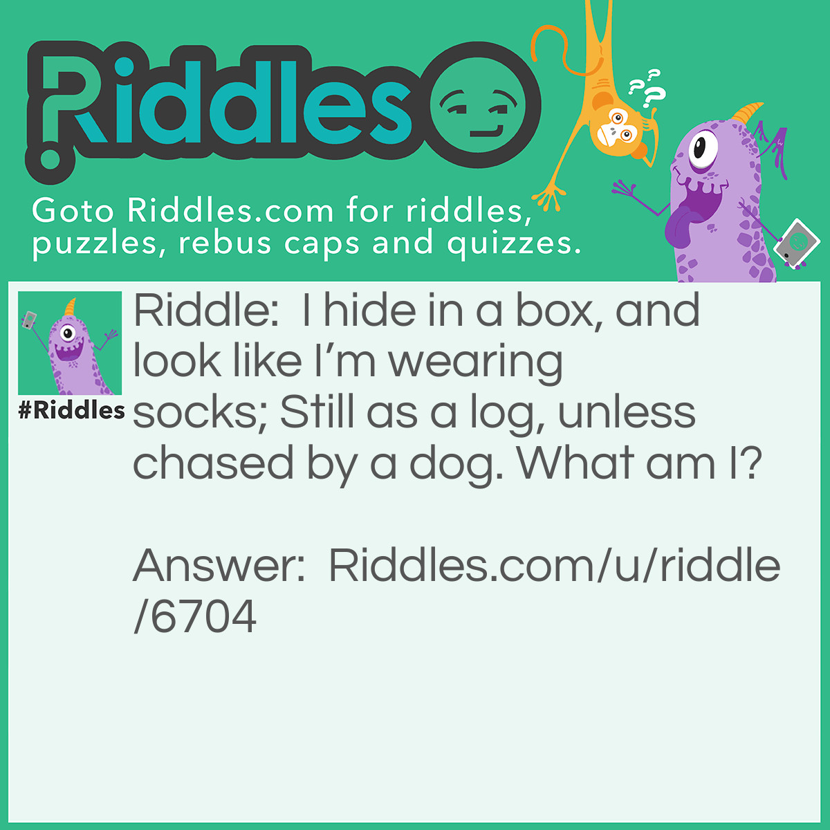 Riddle: I hide in a box, and look like I'm wearing socks; Still as a log, unless chased by a dog. What am I? Answer: A cat.