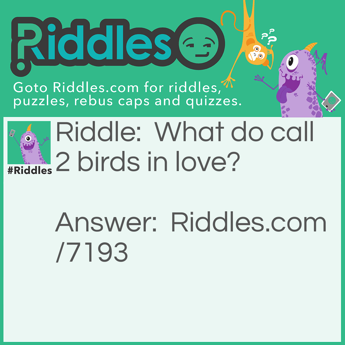 Riddle: What do call 2 birds in love? Answer: Love birds NOT tweet hearts