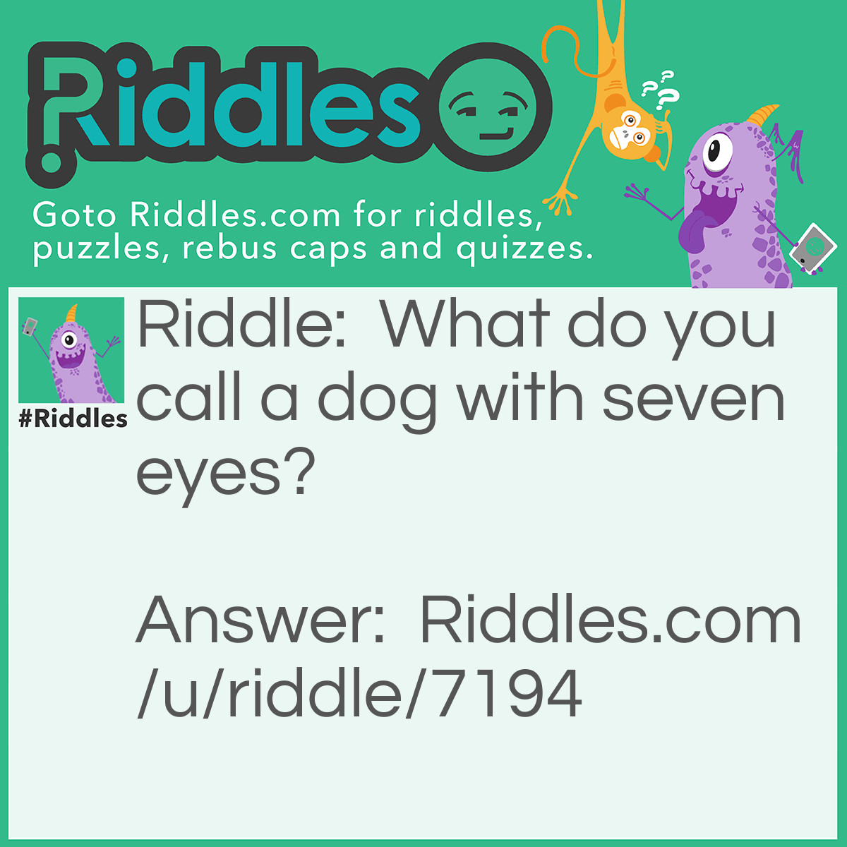 Riddle: What do you call a dog with seven eyes? Answer: IIIIIIIDOG