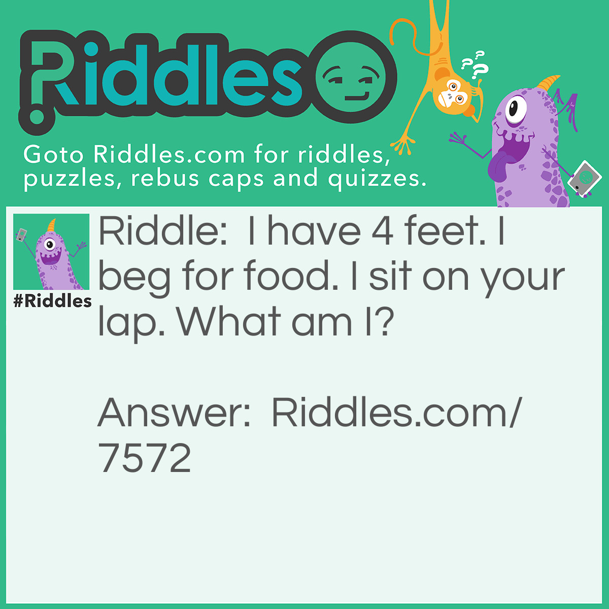 Riddle: I have 4 feet. I beg for food. I sit on your lap. What am I? Answer: I am a cat.