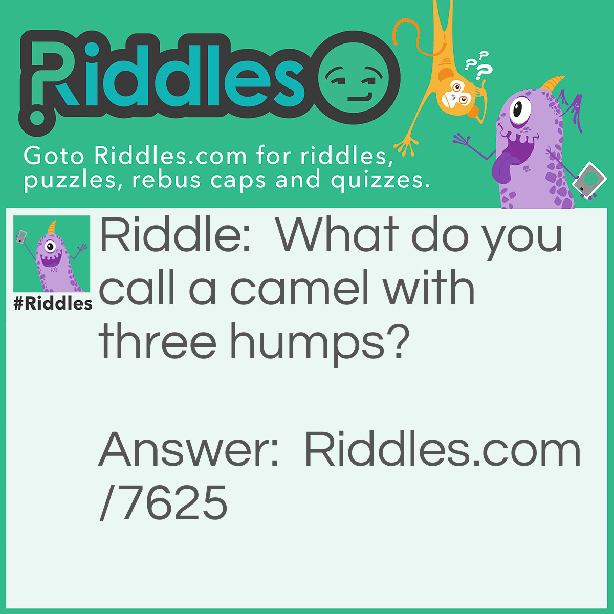 Riddle: What do you call a camel with three humps? Answer: Pregnant.