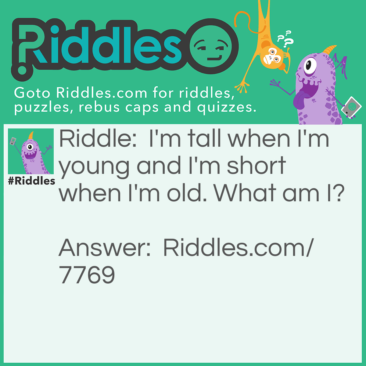 Riddle: I'm tall when I'm young and I'm short when I'm old. What am I? Answer: A candle