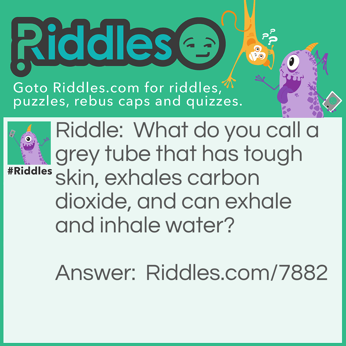 Riddle: What do you call a grey tube that has tough skin, exhales carbon dioxide, and can exhale and inhale water? Answer: An elephant’s trunk.