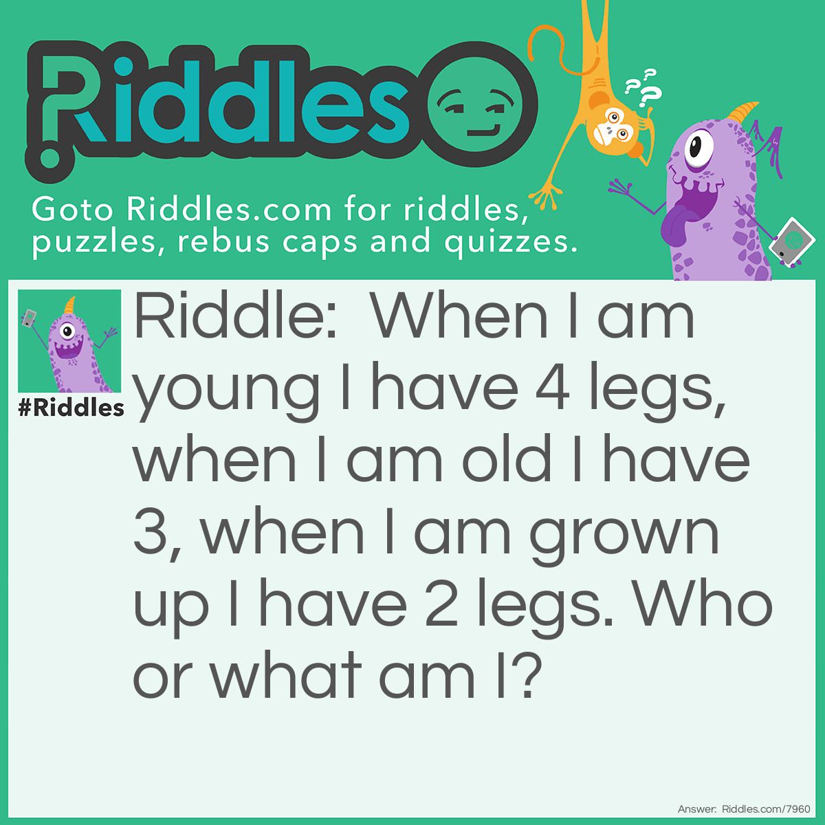 Riddle: When I am young I have 4 legs, when I am old I have 3, when I am grown up I have 2 legs. Who or what am I? Answer: Human! (I crawl when young, I have a stick with me when I’m Old, and how I am when I grow up!)