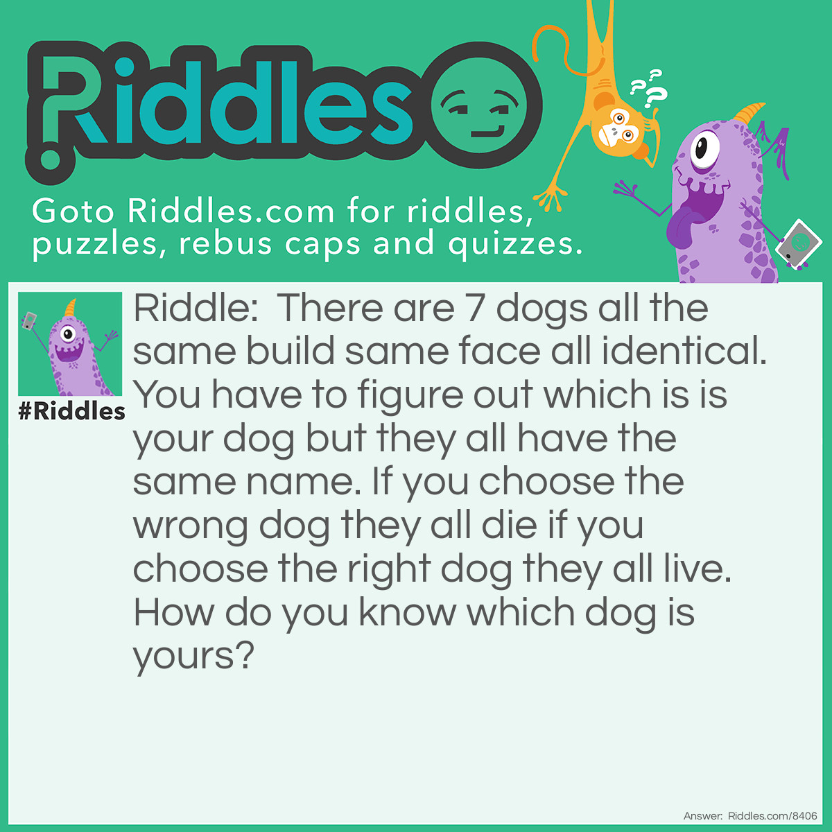 Riddle: There are 7 dogs all the same build same face all identical. You have to figure out which is is your dog but they all have the same name. If you choose the wrong dog they all die if you choose the right dog they all live. How do you know which dog is yours? Answer: You check all the personalities of the dog and you should know your dog.