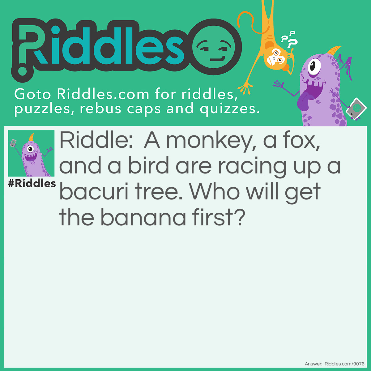 Riddle: A monkey, a fox, and a bird are racing up a bacuri tree. Who will get the banana first? Answer: No body, I said Bacuri tree not banana tree.