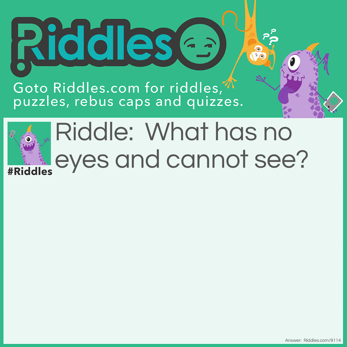 Riddle: What has no eyes and cannot see? Answer: A blind person who has no eyes.