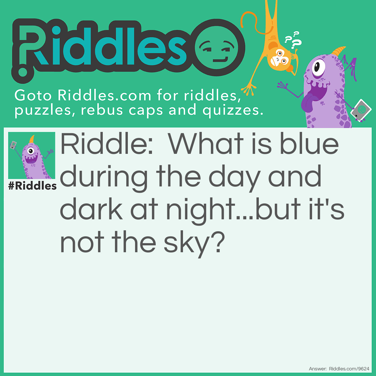 Riddle: What is blue during the day and dark at night...but it's not the sky? Answer: The ocean.