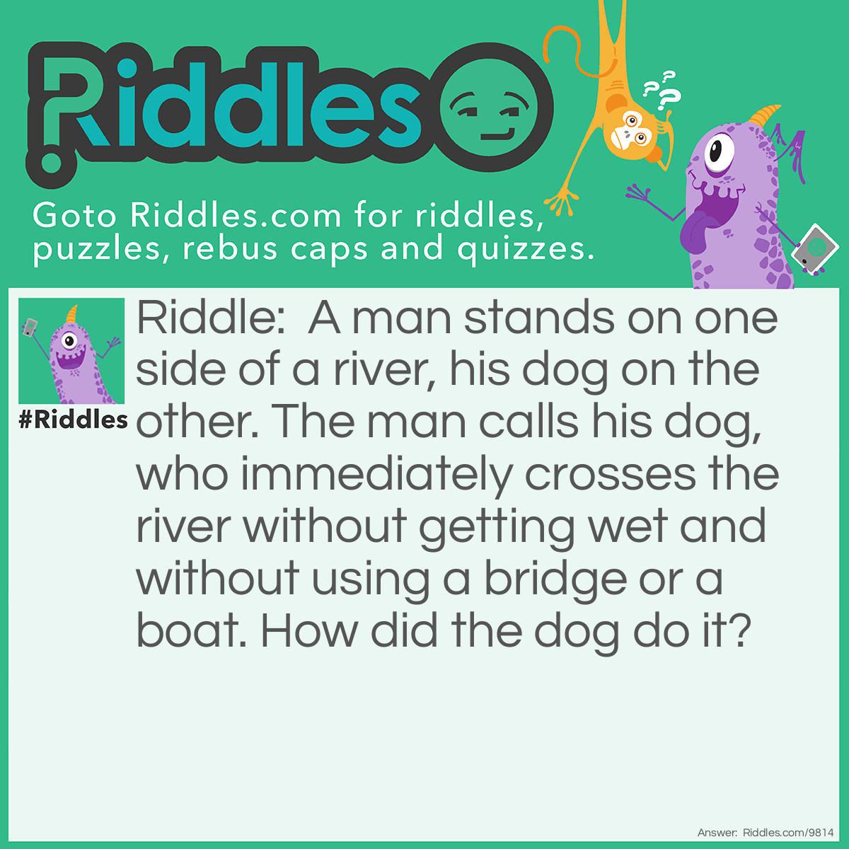 Riddle: A man stands on one side of a river, his dog on the other. The man calls his dog, who immediately crosses the river without getting wet and without using a bridge or a boat. How did the dog do it? Answer: The river was frozen.